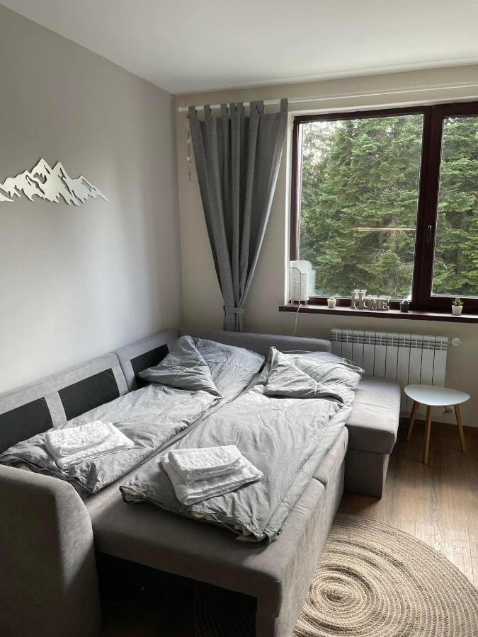Pine Tree Apartment / Borovets Gardens Eksteriør bilde