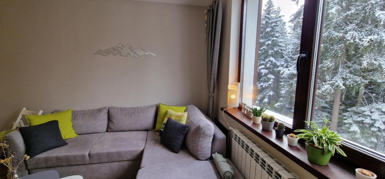 Pine Tree Apartment / Borovets Gardens Eksteriør bilde